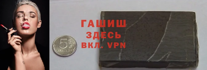 индика Вяземский