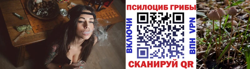 Псилоцибиновые грибы Magic Shrooms  Сафоново 