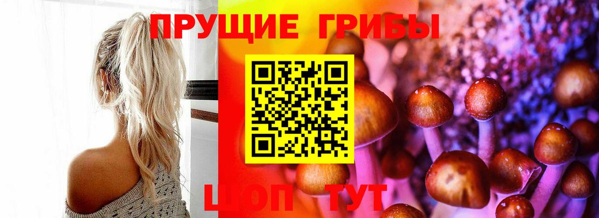 Псилоцибиновые грибы Magic Shrooms Сафоново