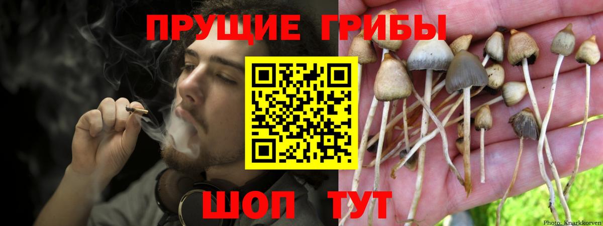Сафоново  Галлюциногенные грибы Cubensis  Псилоцибиновые грибы Magic Shrooms  что такое наркотик  Вход с VPN 